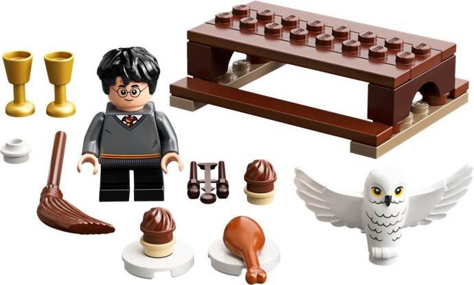 LEGO® Harry Potter and Hedwig