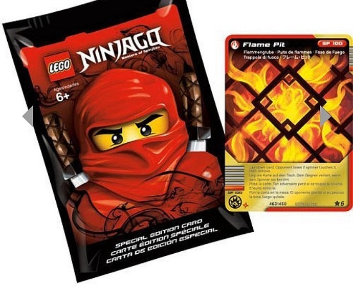 LEGO® Special Edition Card