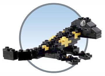 LEGO® {Salamander}