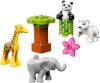 Image for LEGO® set 10904 Baby Animals