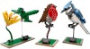 Image for LEGO® set 21301 Birds