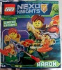 Image for LEGO® set 271825 Aaron