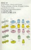 Image for LEGO® set 5042 Space Light and Radar Plates, Disks and Cones (Transparent Lights)