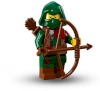 Image for LEGO® set 71013 Rogue