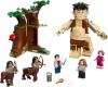 Image for LEGO® set 75967 Forbidden Forest: Umbridge's Encounter